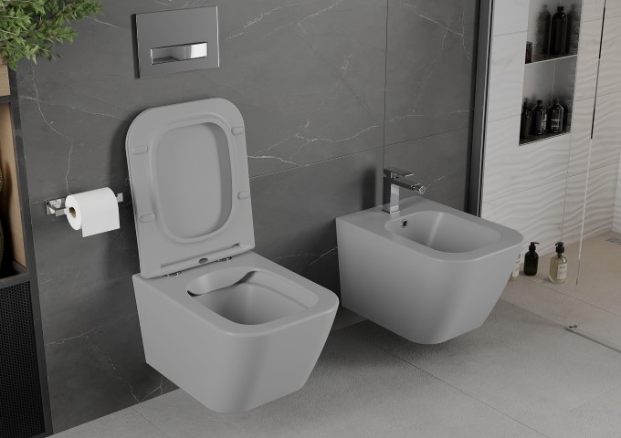 bidet in toilet