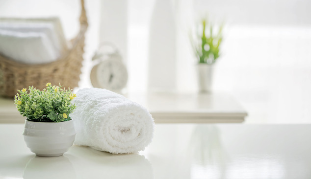 Badkameraccessoires - wat is het waard om te hebben en welke moet je kiezen?