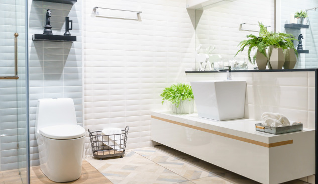 WC-pot - werkt een staande of hangende beter?