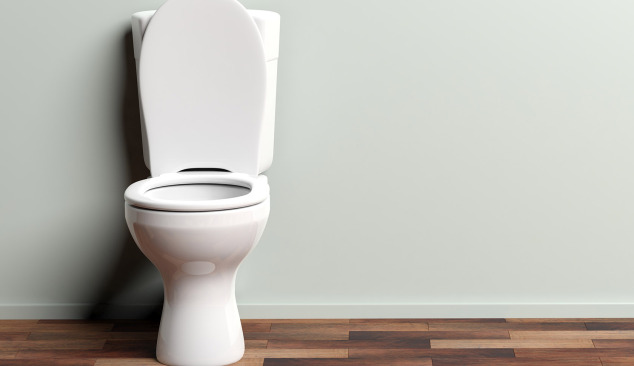 Welke toiletbril is beter - standaard of softclose?