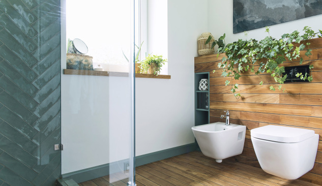 Bidet voor de badkamer - wat is het waard om te weten?