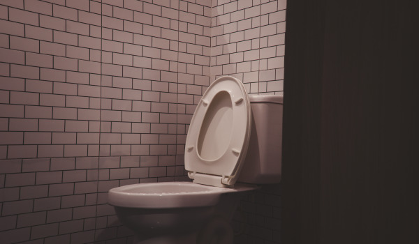 Hoe koop je een goede toiletbril?