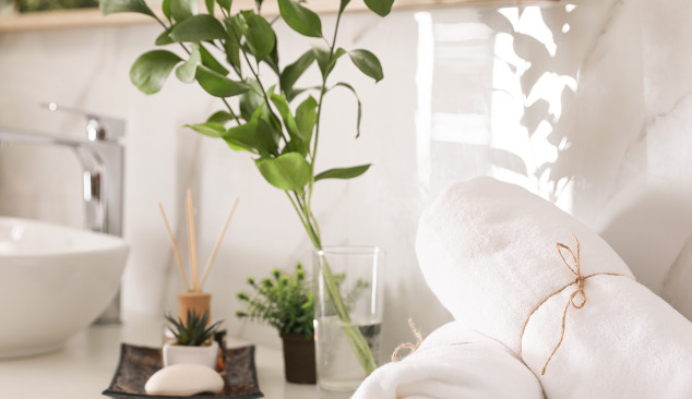 Welke planten kunnen er in de badkamer staan?