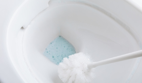 Hoe zorg je voor een toiletborstel?