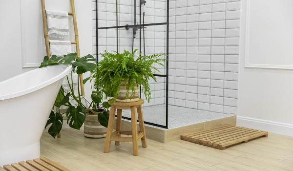 5 beste bloemen om in de badkamer te kweken